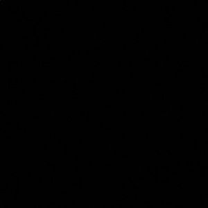 Meet your Posher, Carter